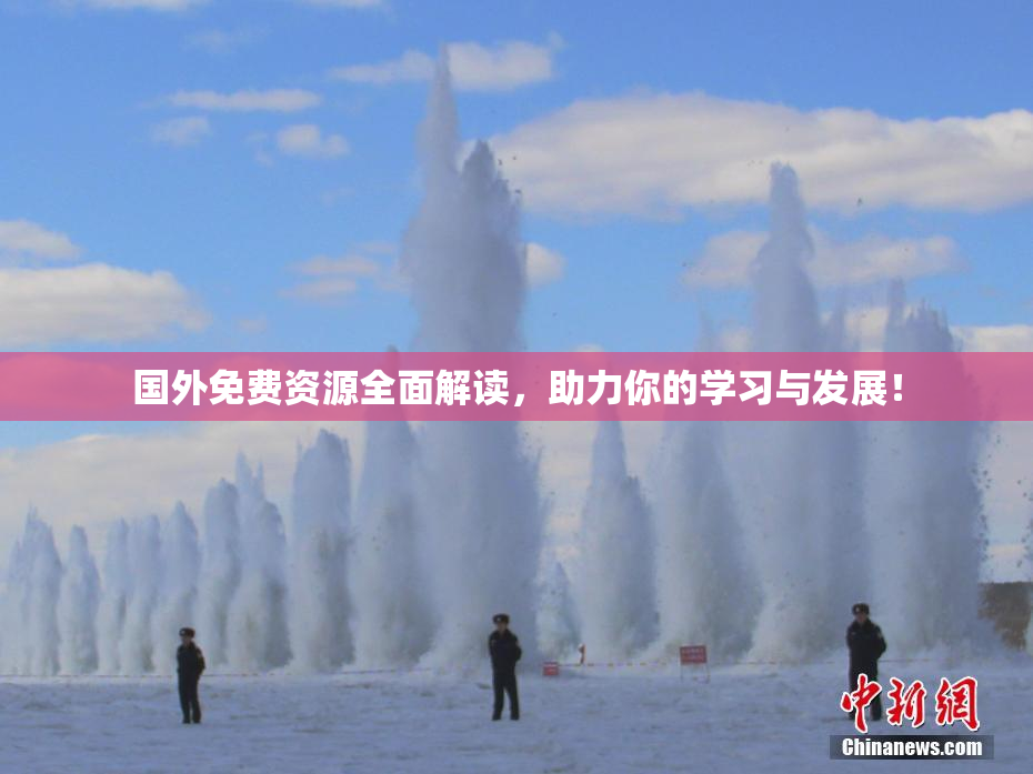国外免费资源全面解读，助力你的学习与发展！