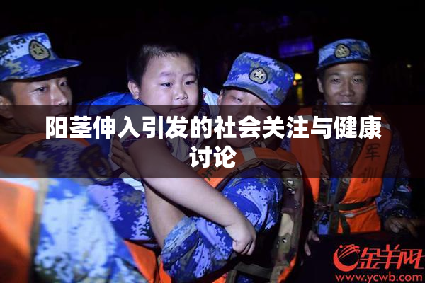 阳茎伸入引发的社会关注与健康讨论