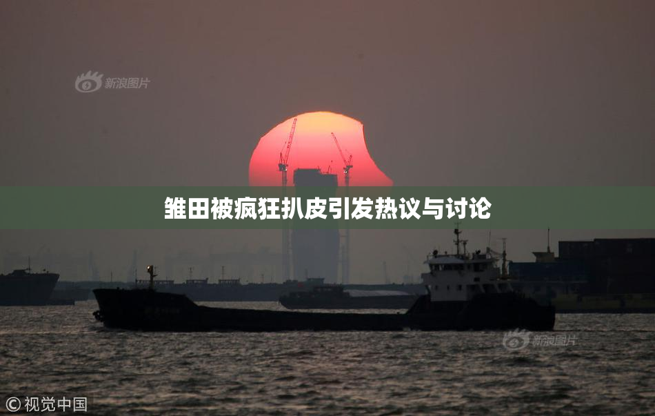 雏田被疯狂扒皮引发热议与讨论