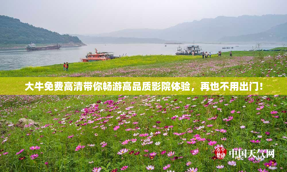 大牛免费高清带你畅游高品质影院体验，再也不用出门！