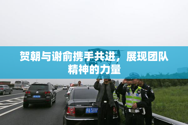 贺朝与谢俞携手共进，展现团队精神的力量