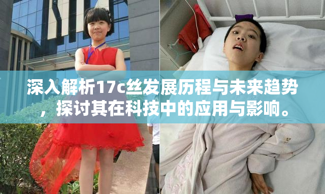 深入解析17c丝发展历程与未来趋势，探讨其在科技中的应用与影响。
