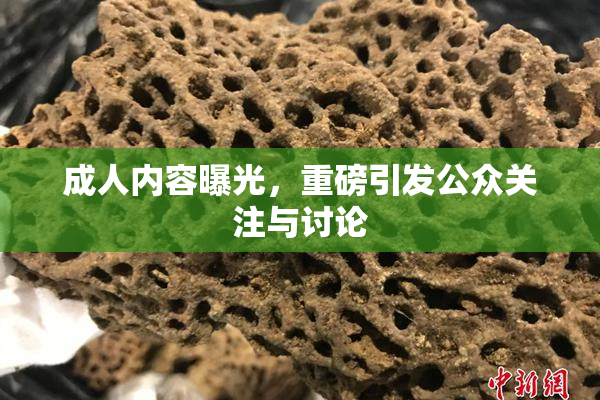 成人内容曝光，重磅引发公众关注与讨论