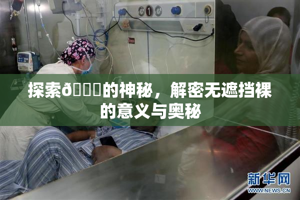 探索🔞的神秘，解密无遮挡裸的意义与奥秘
