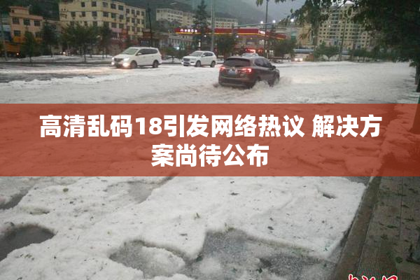 高清乱码18引发网络热议 解决方案尚待公布