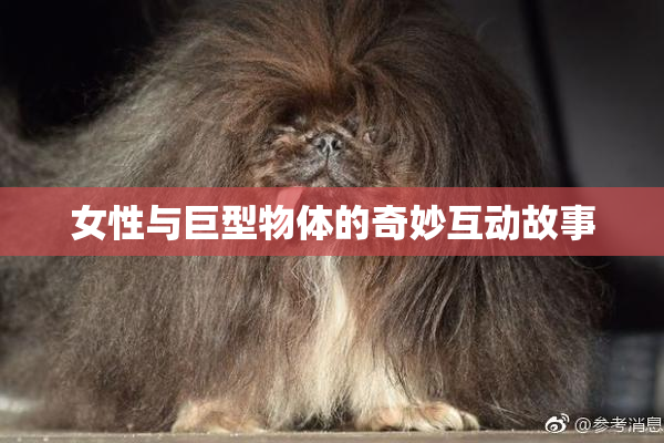 女性与巨型物体的奇妙互动故事