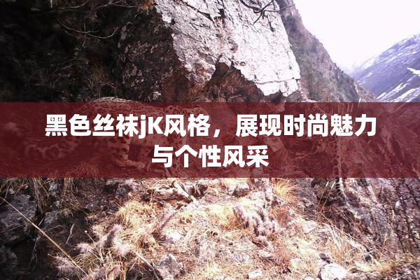 黑色丝袜jK风格，展现时尚魅力与个性风采