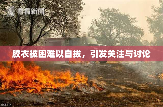 胶衣被困难以自拔，引发关注与讨论