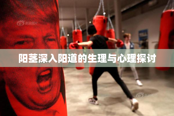 阳茎深入阳道的生理与心理探讨