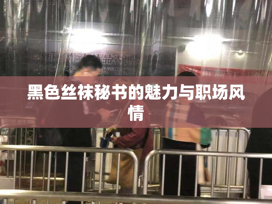 黑色丝袜秘书的魅力与职场风情