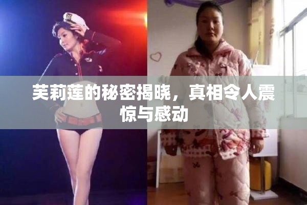 芙莉莲的秘密揭晓，真相令人震惊与感动