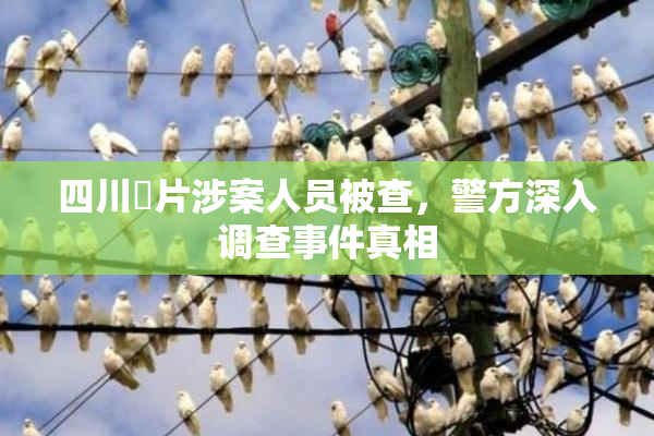 四川婬片涉案人员被查，警方深入调查事件真相