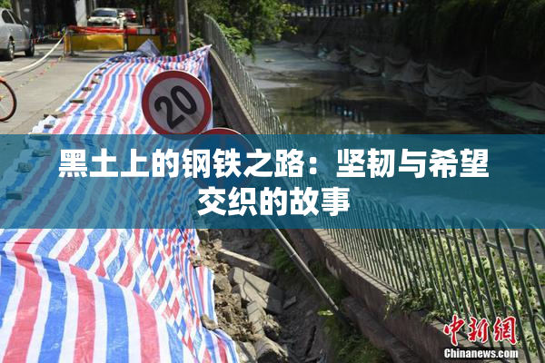 黑土上的钢铁之路：坚韧与希望交织的故事