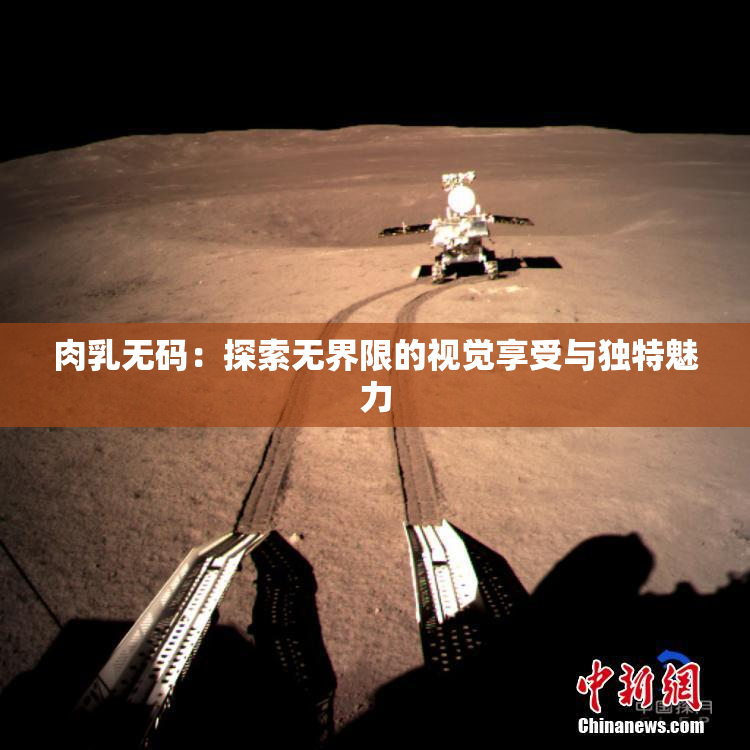 肉乳无码：探索无界限的视觉享受与独特魅力