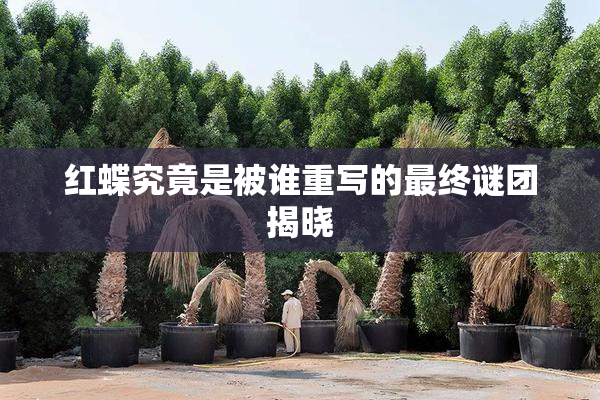 红蝶究竟是被谁重写的最终谜团揭晓