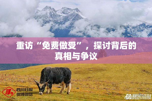 重访“免费做受”，探讨背后的真相与争议