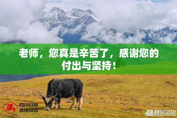 老师，您真是辛苦了，感谢您的付出与坚持！