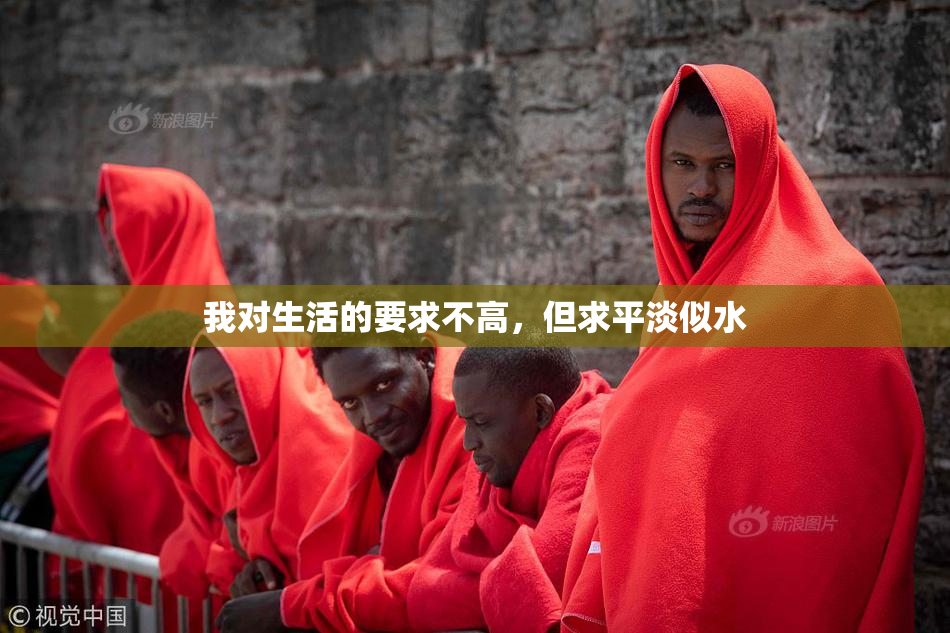 我对生活的要求不高，但求平淡似水