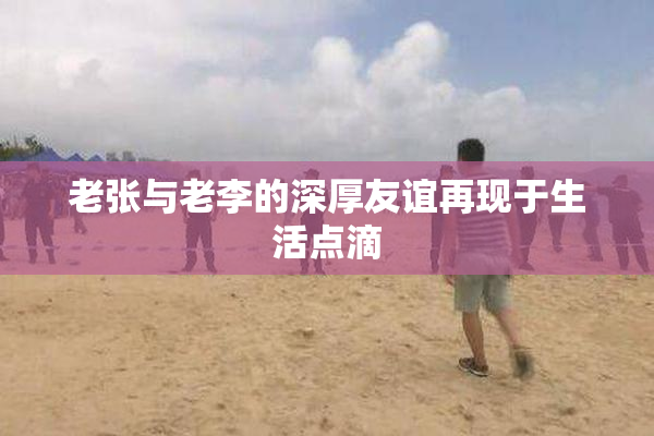 老张与老李的深厚友谊再现于生活点滴