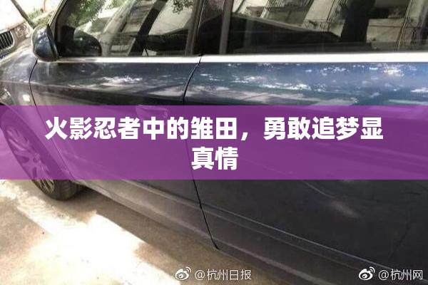 火影忍者中的雏田，勇敢追梦显真情