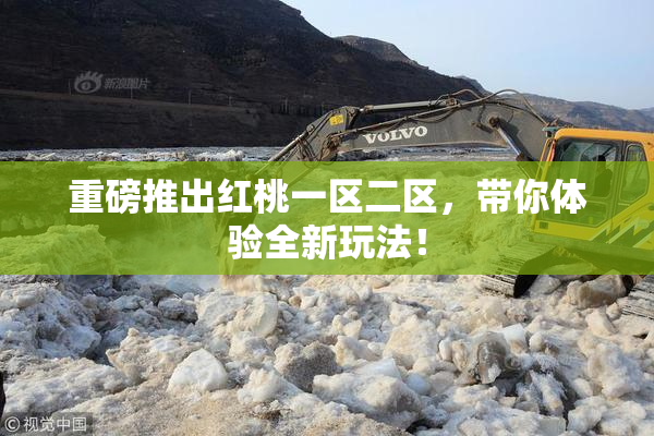 重磅推出红桃一区二区，带你体验全新玩法！