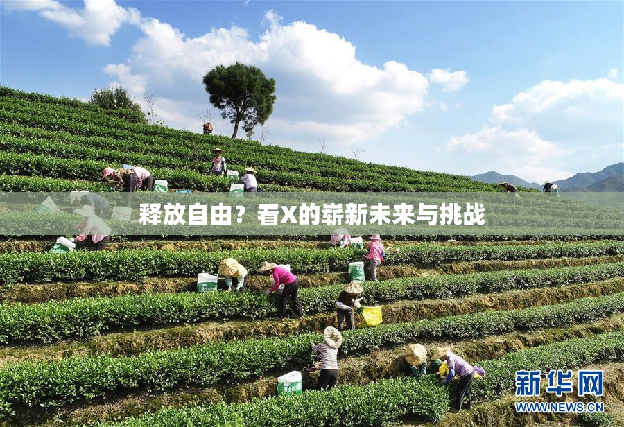 释放自由？看X的崭新未来与挑战