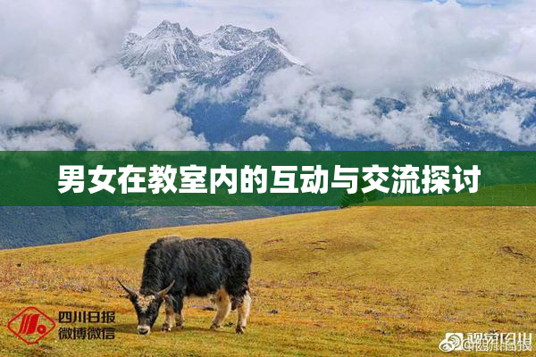 男女在教室内的互动与交流探讨