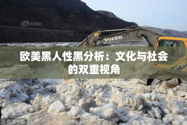 欧美黑人性黑分析：文化与社会的双重视角