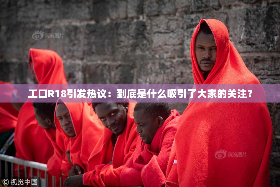 工口R18引发热议：到底是什么吸引了大家的关注？