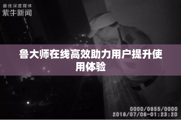 鲁大师在线高效助力用户提升使用体验