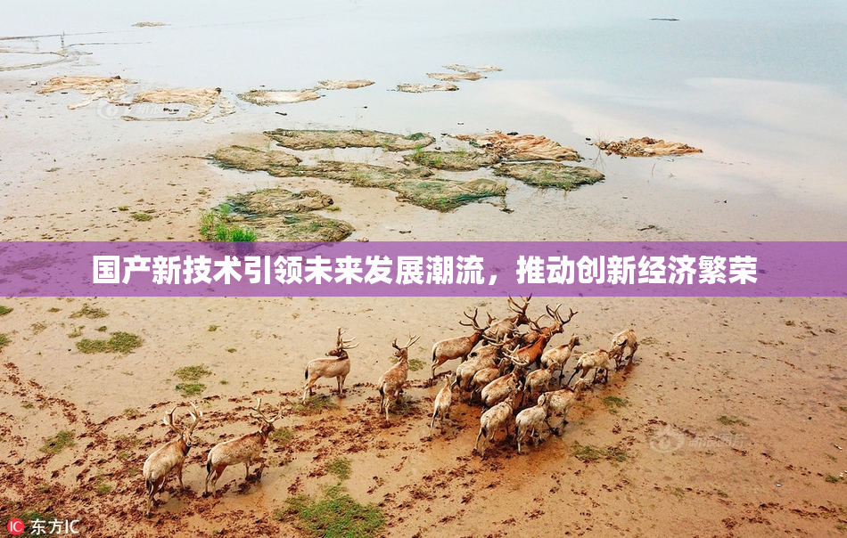 国产新技术引领未来发展潮流，推动创新经济繁荣