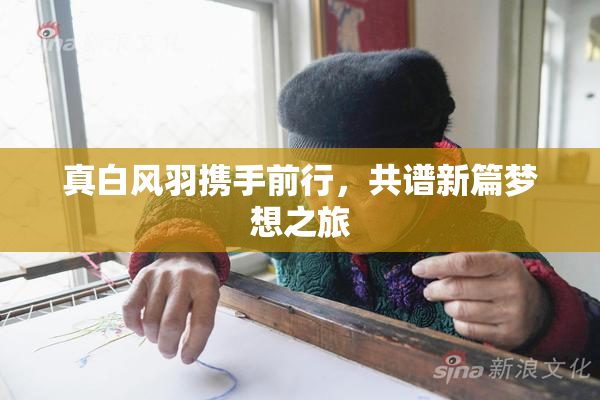 真白风羽携手前行，共谱新篇梦想之旅