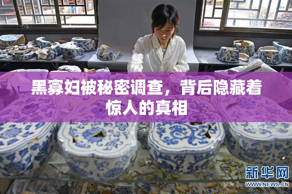 黑寡妇被秘密调查，背后隐藏着惊人的真相