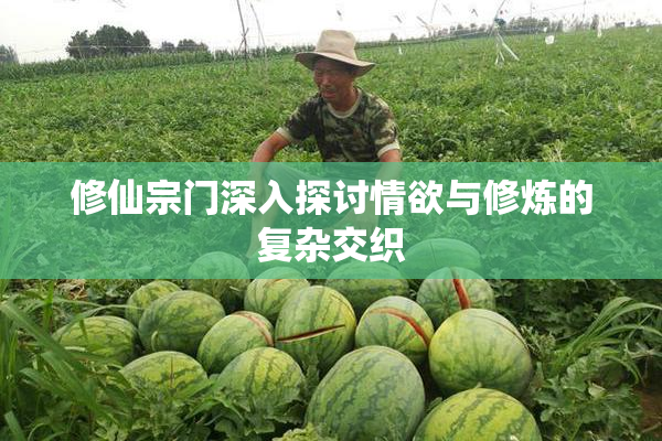 修仙宗门深入探讨情欲与修炼的复杂交织