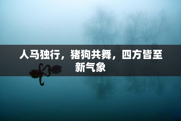 人马独行，猪狗共舞，四方皆至新气象