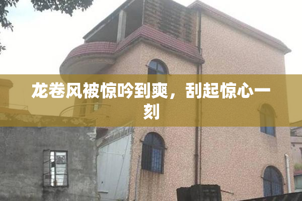 龙卷风被惊吟到爽，刮起惊心一刻