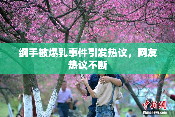 纲手被爆乳事件引发热议，网友热议不断