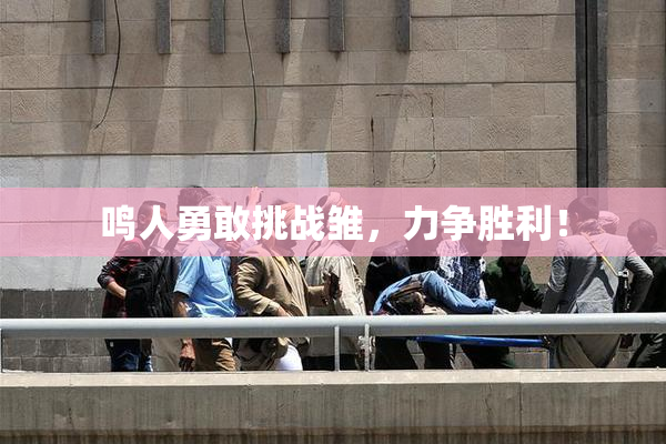 鸣人勇敢挑战雏，力争胜利！