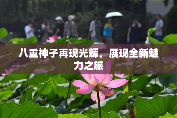 八重神子再现光辉，展现全新魅力之旅