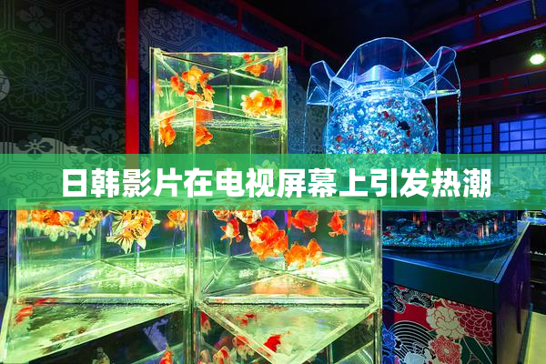 日韩影片在电视屏幕上引发热潮