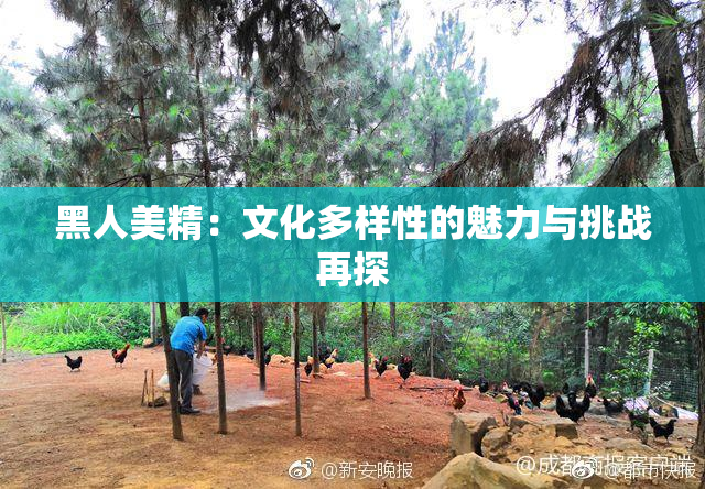 黑人美精：文化多样性的魅力与挑战再探