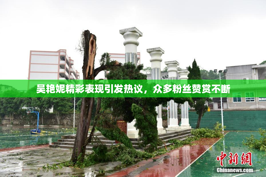 吴艳妮精彩表现引发热议，众多粉丝赞赏不断