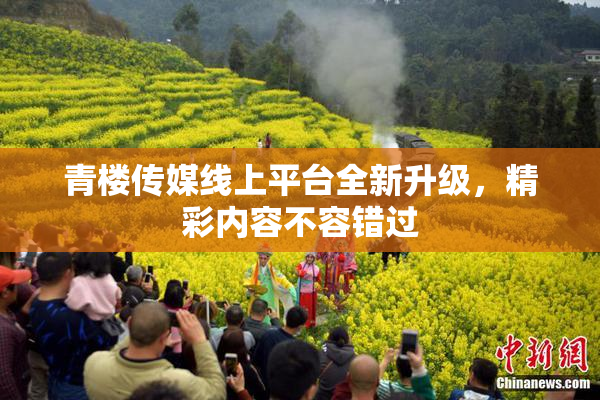青楼传媒线上平台全新升级，精彩内容不容错过