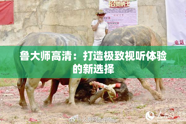 鲁大师高清：打造极致视听体验的新选择