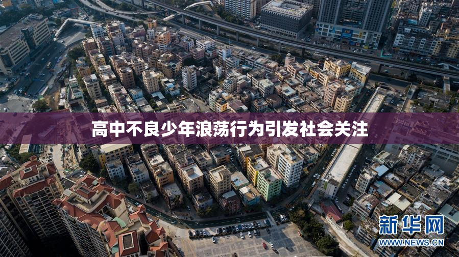 高中不良少年浪荡行为引发社会关注