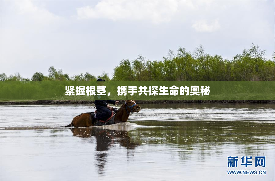 紧握根茎，携手共探生命的奥秘