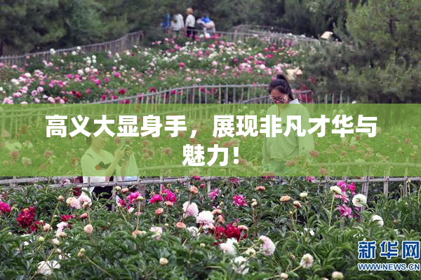高义大显身手，展现非凡才华与魅力！