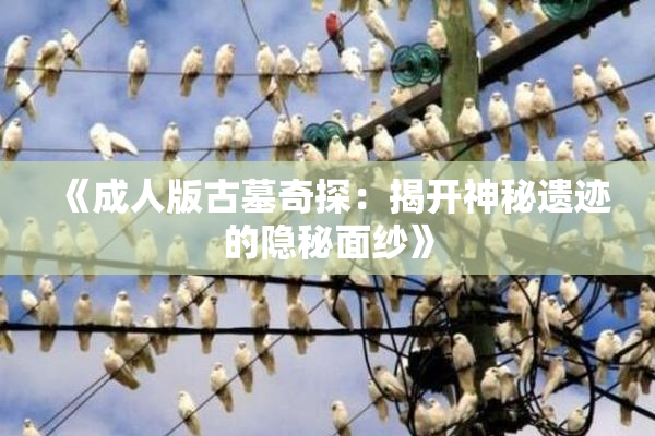 《成人版古墓奇探：揭开神秘遗迹的隐秘面纱》
