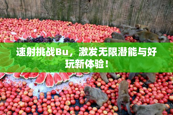 速射挑战Bu，激发无限潜能与好玩新体验！