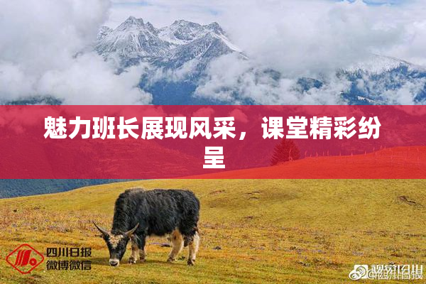 魅力班长展现风采，课堂精彩纷呈